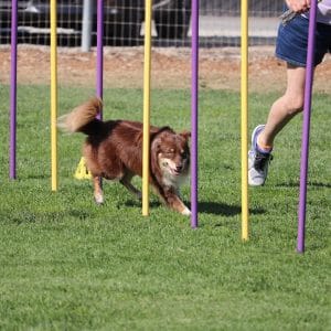 Obstacle Independence