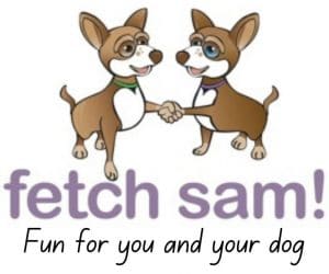 On-Line Canine Mind Games - Fetch Sam!