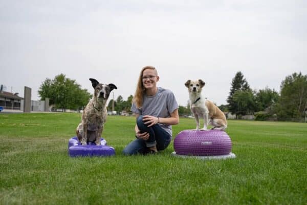 Dog Fitness for Agility with Muscle Mutts